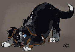 Fullbody Feral
