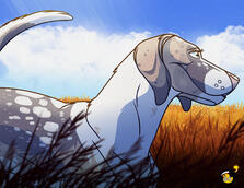 Headshot/Shoulder Up